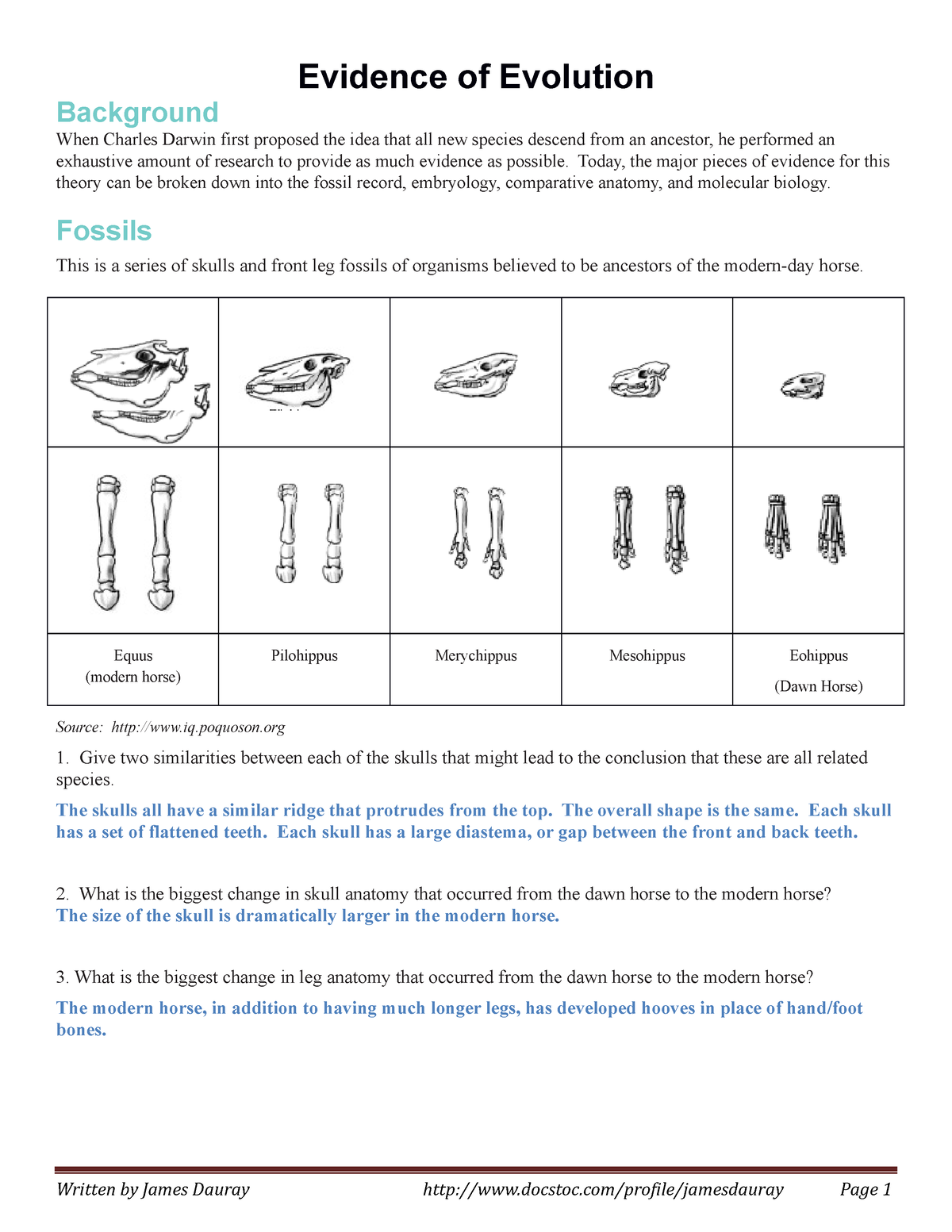 Evidence Of Evolution Bests Answer Key You Want To Try! - Evidence Of ...