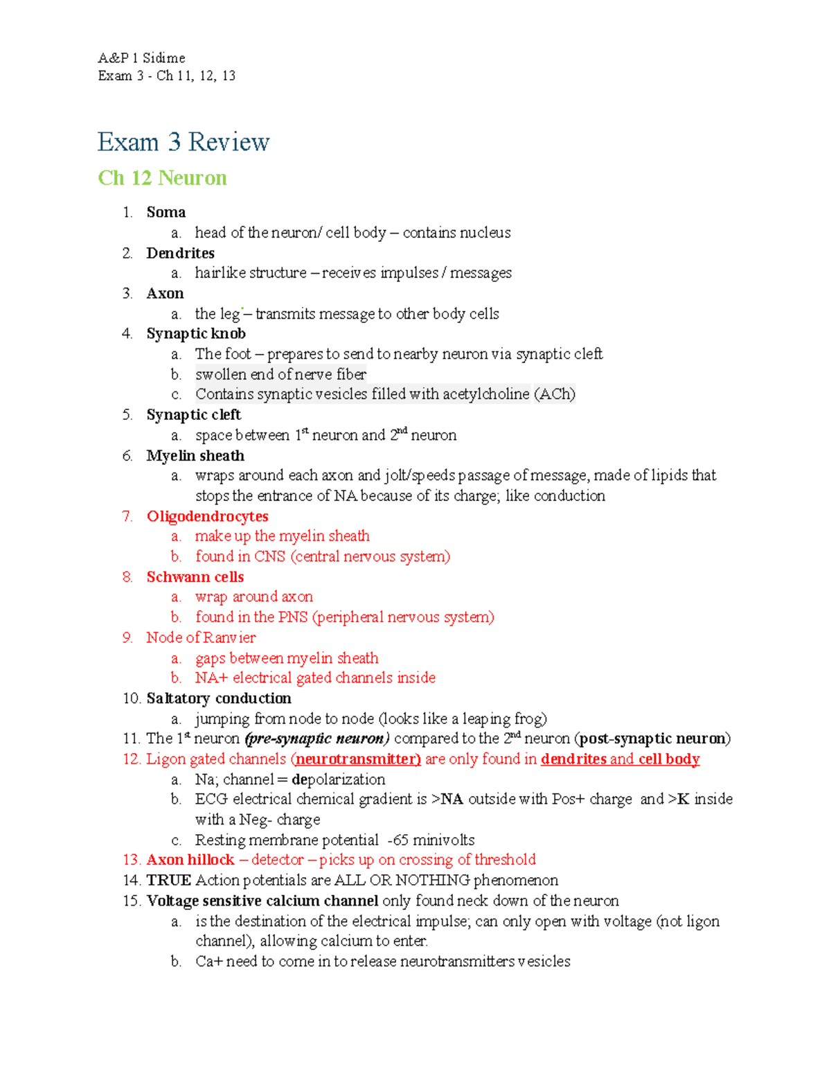 Exam 3 Review - Exam 3 - Ch 11, 12, 13 Exam 3 Review Ch 12 Neuron Soma ...