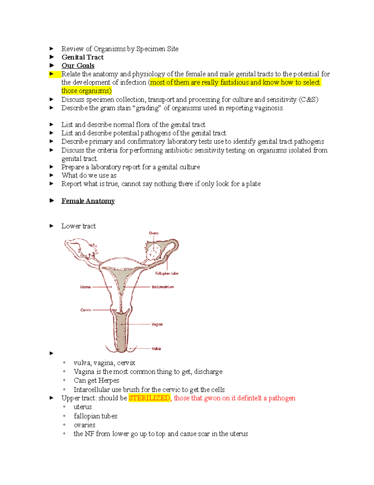 Microbiology- Genital Infection - Review of Organisms by Specimen Site ...