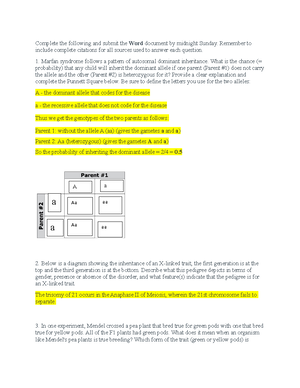 What is a gene quizlet image
