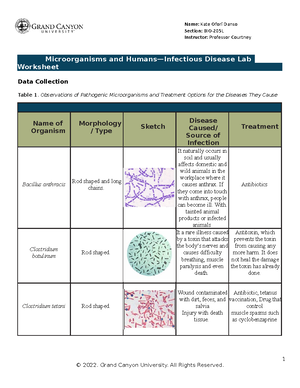 BIO 205L RS Lab13Pathogenic Eukaryotic Microorganisms WS Online