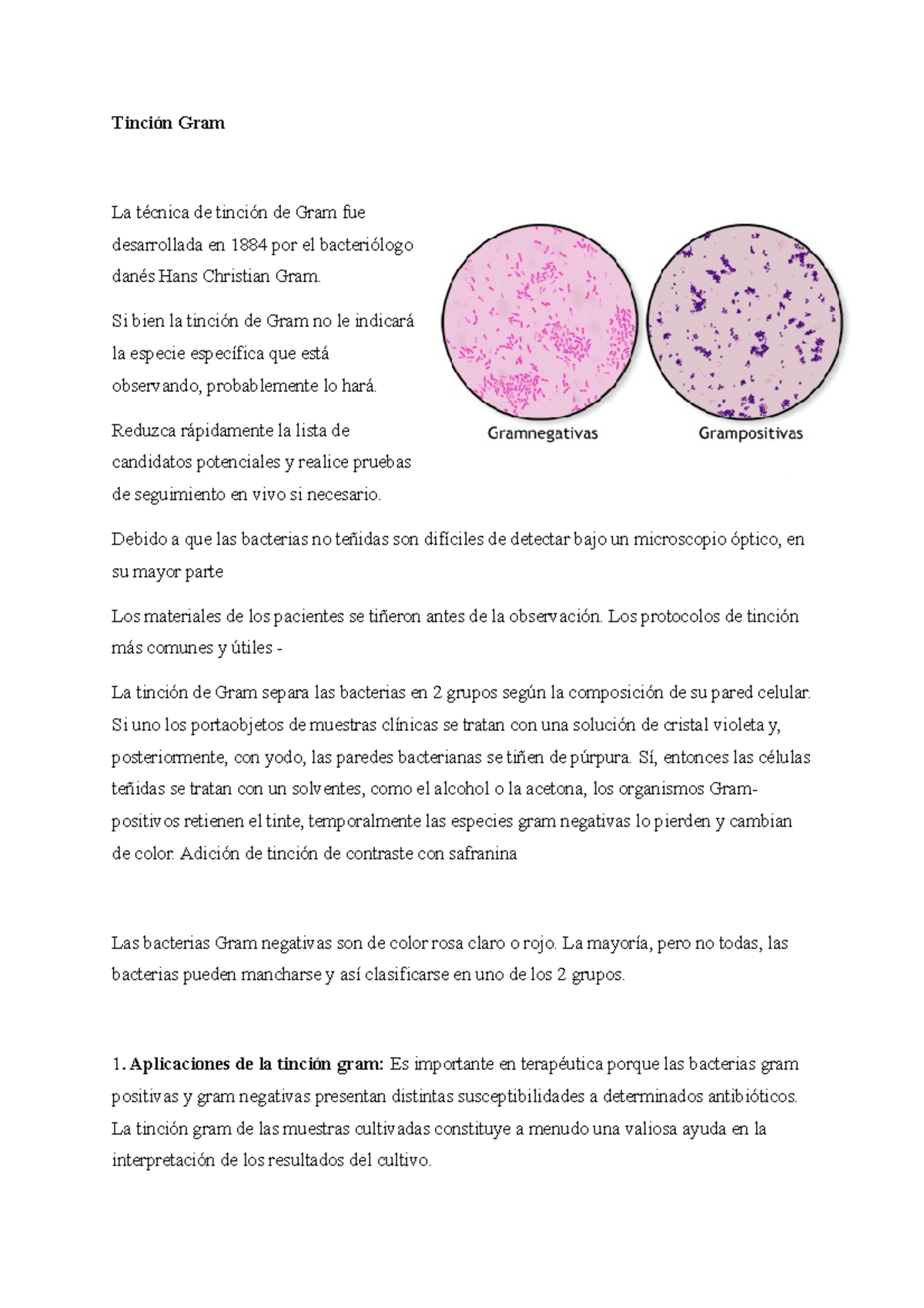 Tinción Gram Y Procedimiento - Tinción Gram La Técnica De Tinción De ...