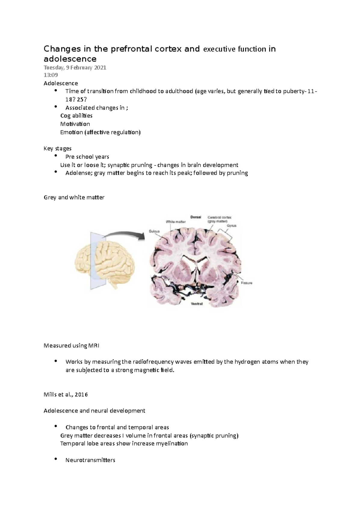 Changes in the prefrontal cortex and executive function in adolescence ...