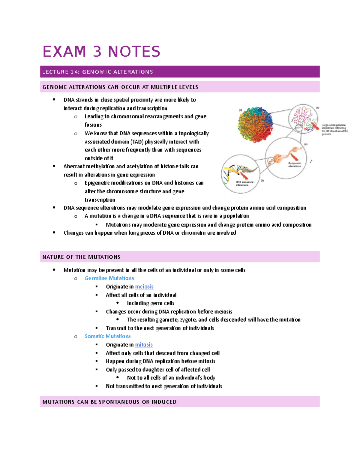 BIOL3341 Exam 3 Lecture Notes - EXAM 3 NOTES LECTURE 14: GENOMIC ...