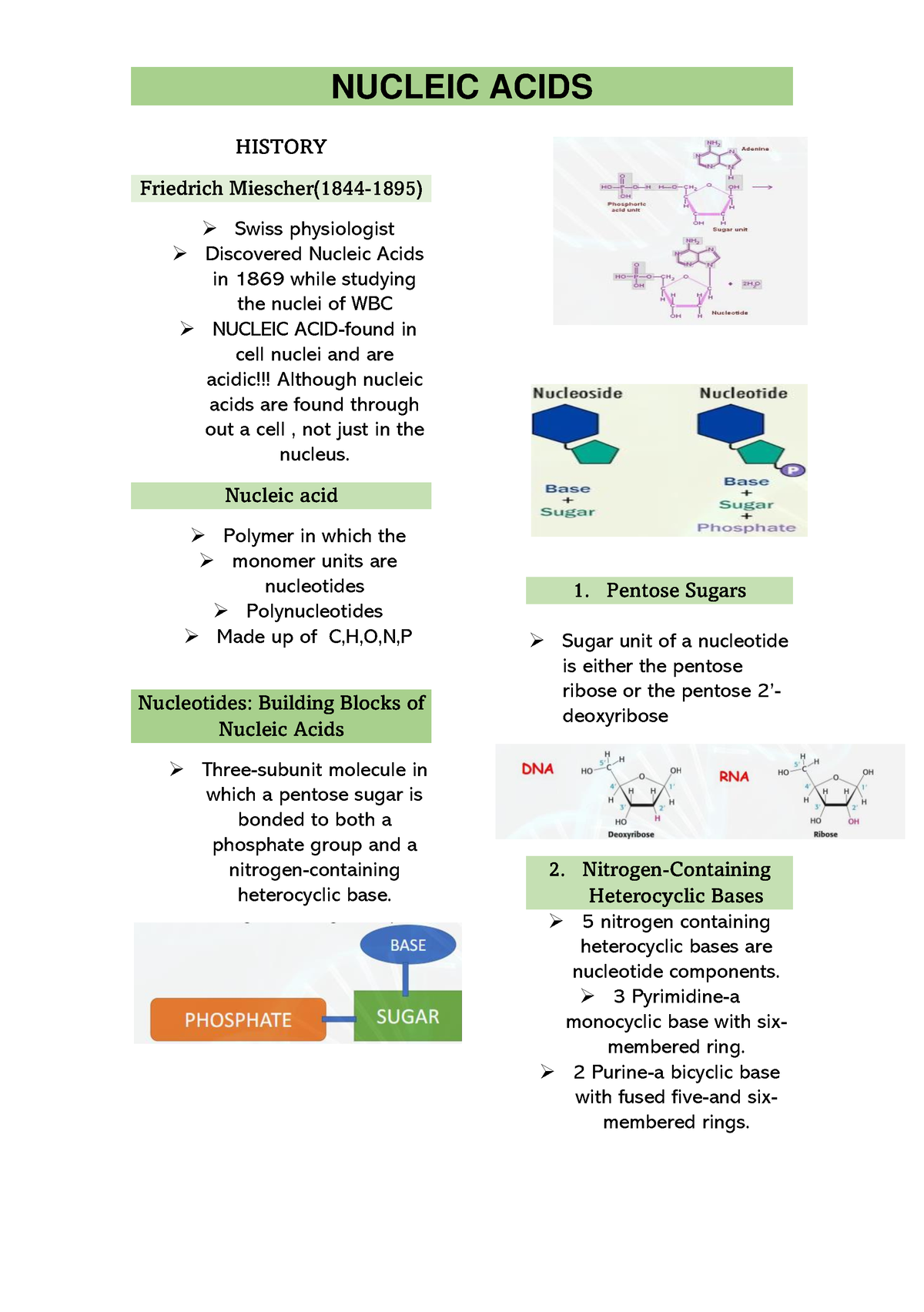 Nucleic Acids Notes NUCLEIC ACIDS HISTORY Friedrich Miescher(1844