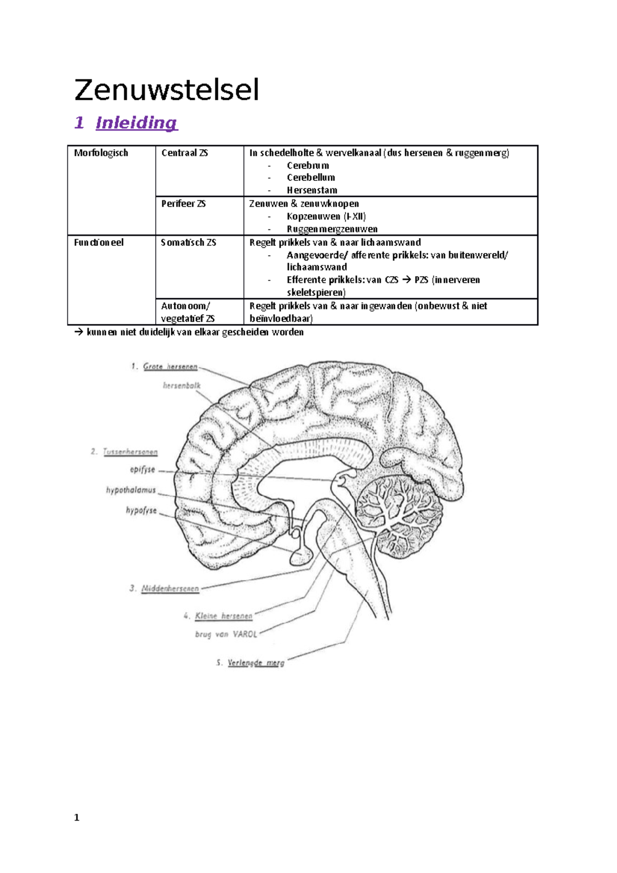 Deel Zenuwstelsel - Zenuwstelsel 1 Inleiding Morfologisch Centraal ZS ...