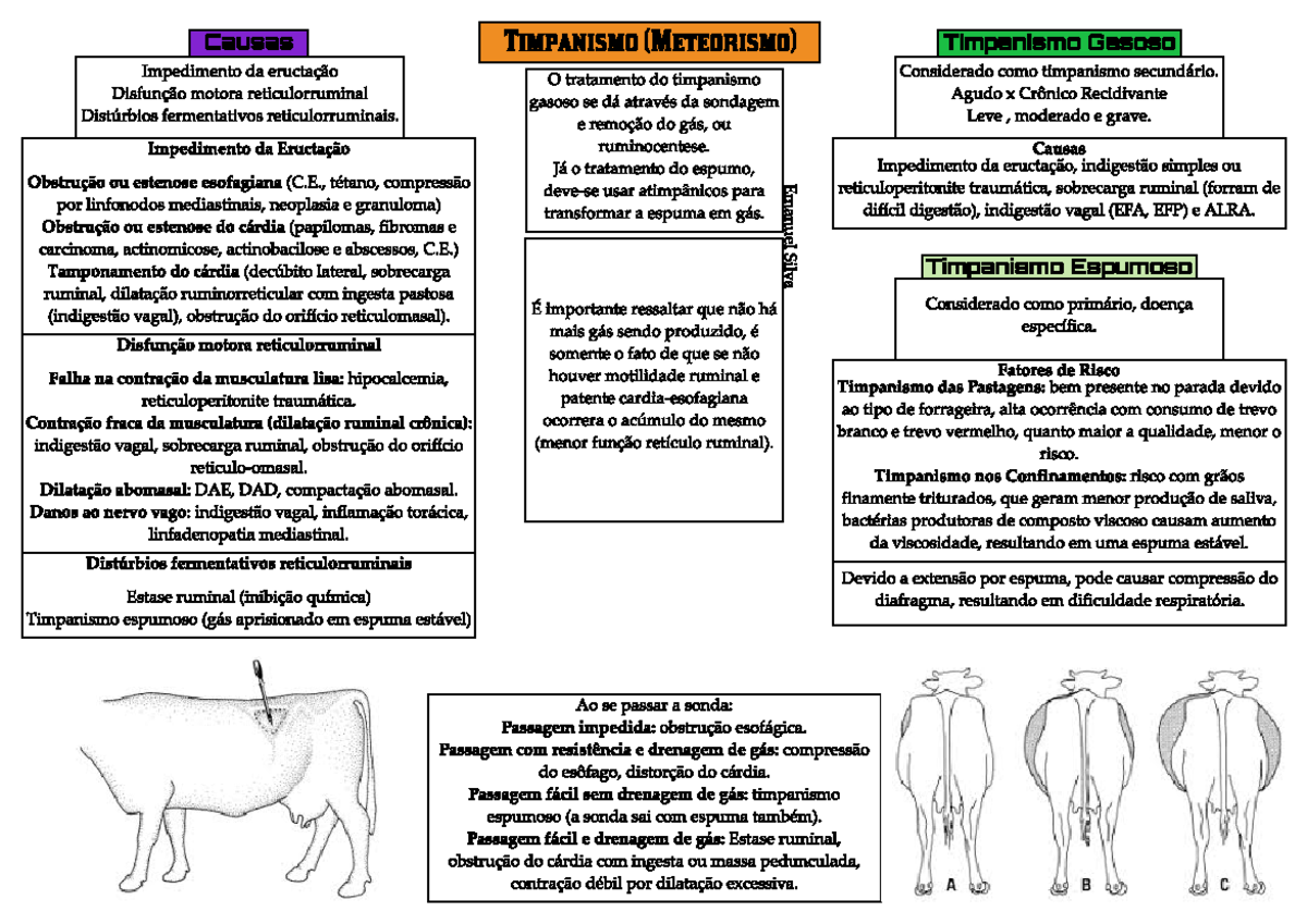 Timpanismo em Ruminantes Ca u s a s Impedimento da eructação