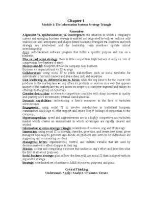 Critical Issues Ch 3 Organizational Strategy and Information Systems ...