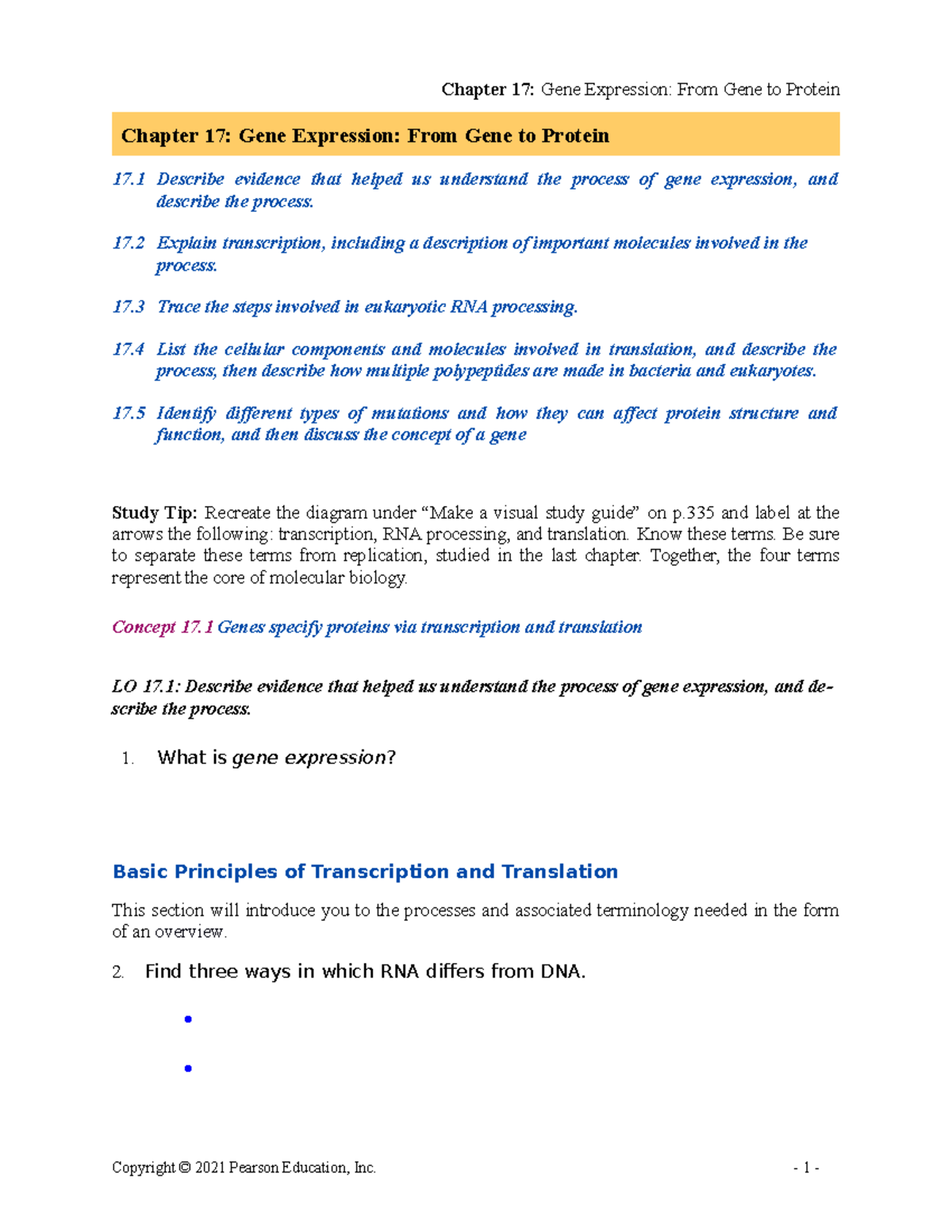 Chapter 17 Study Guide - Chapter 17: Gene Expression: From Gene To ...