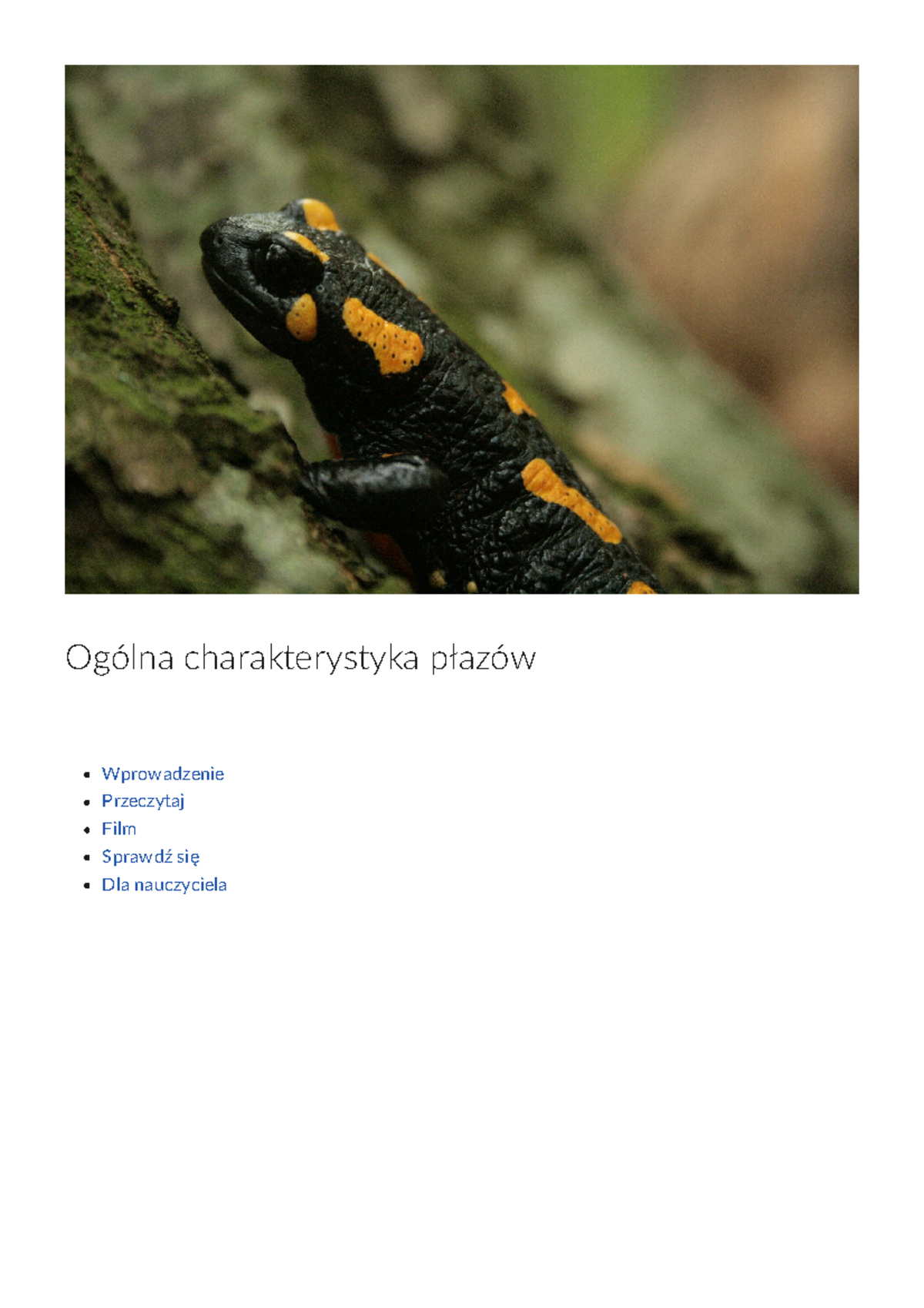 Ogolna charakterystyka plazow - Ogólna charakterystyka płazów