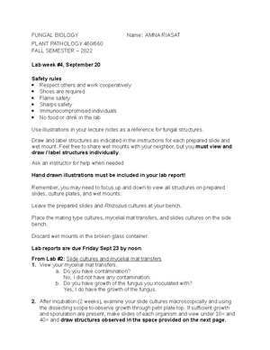 AMNA Riasa 1 - Assignments and lab works - AMNA RIASAT; Epidemiology ...