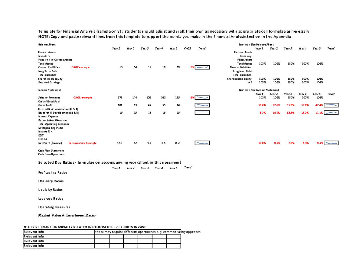 Financial Analysis Template (Sample) with Common Size Statements ...