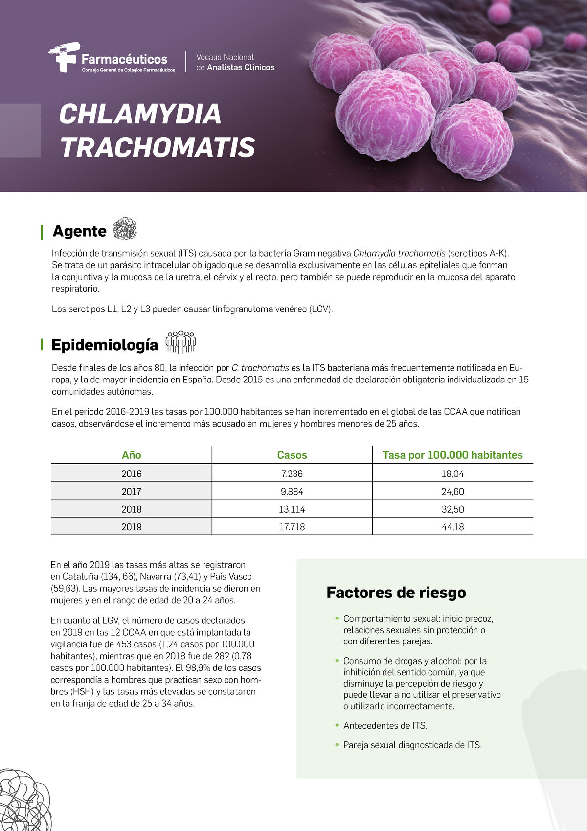 Chlamydia Trachomatis Chlamydia Trachomatis Infección De Transmisión Sexual Its Causada Por 8020