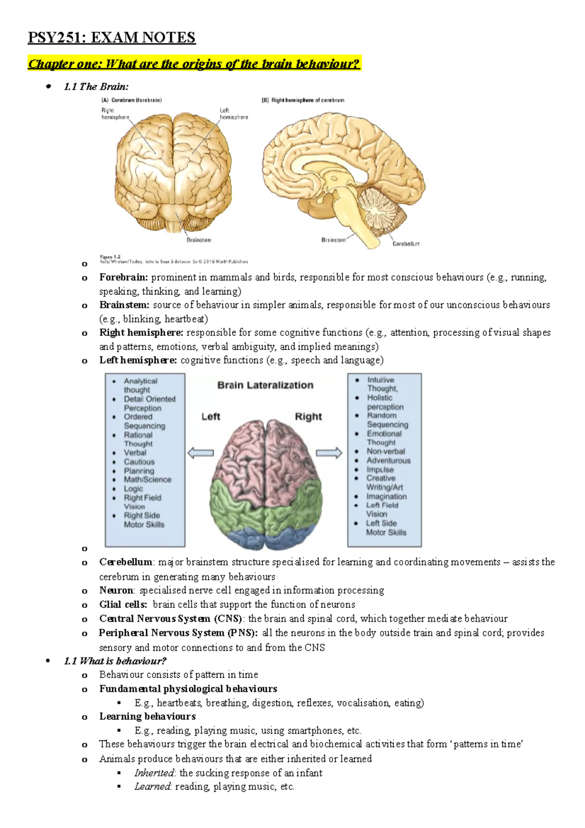 PSY251 - EXAM Notes - Chapter summaries from An Introduction to Brain ...