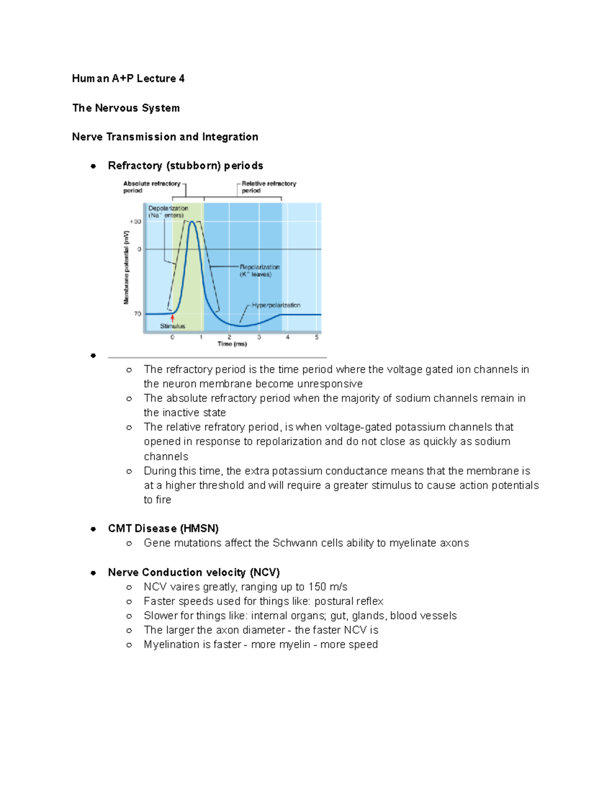 Lecture 4 The Nervous System - Nerve Transmission and Integration ...