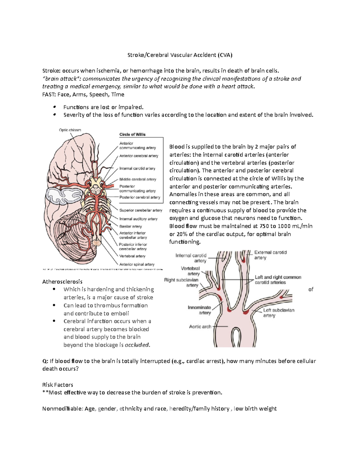 Stroke - Stroke/Cerebral Vascular Accident (CVA) Stroke: occurs when ...