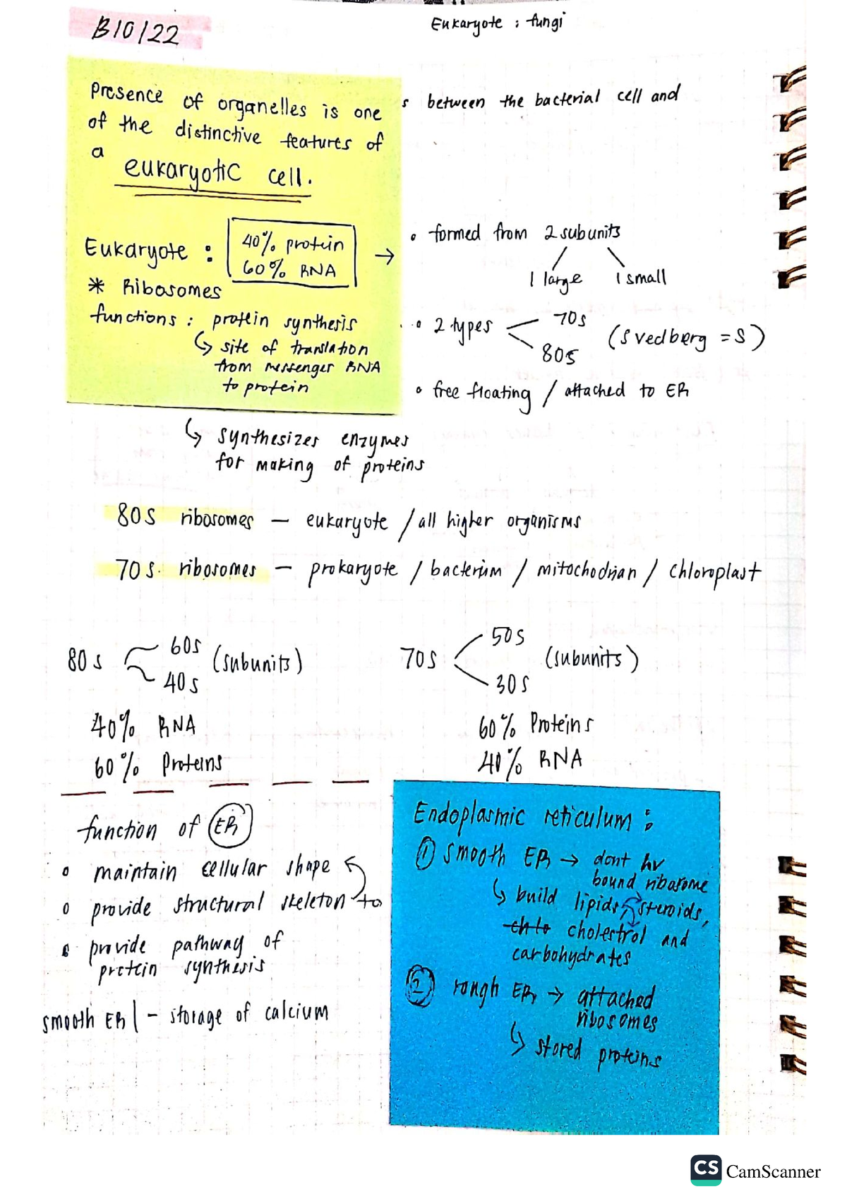 Bio122 - Self Notes - Histology of Cell and Tissue - Studocu