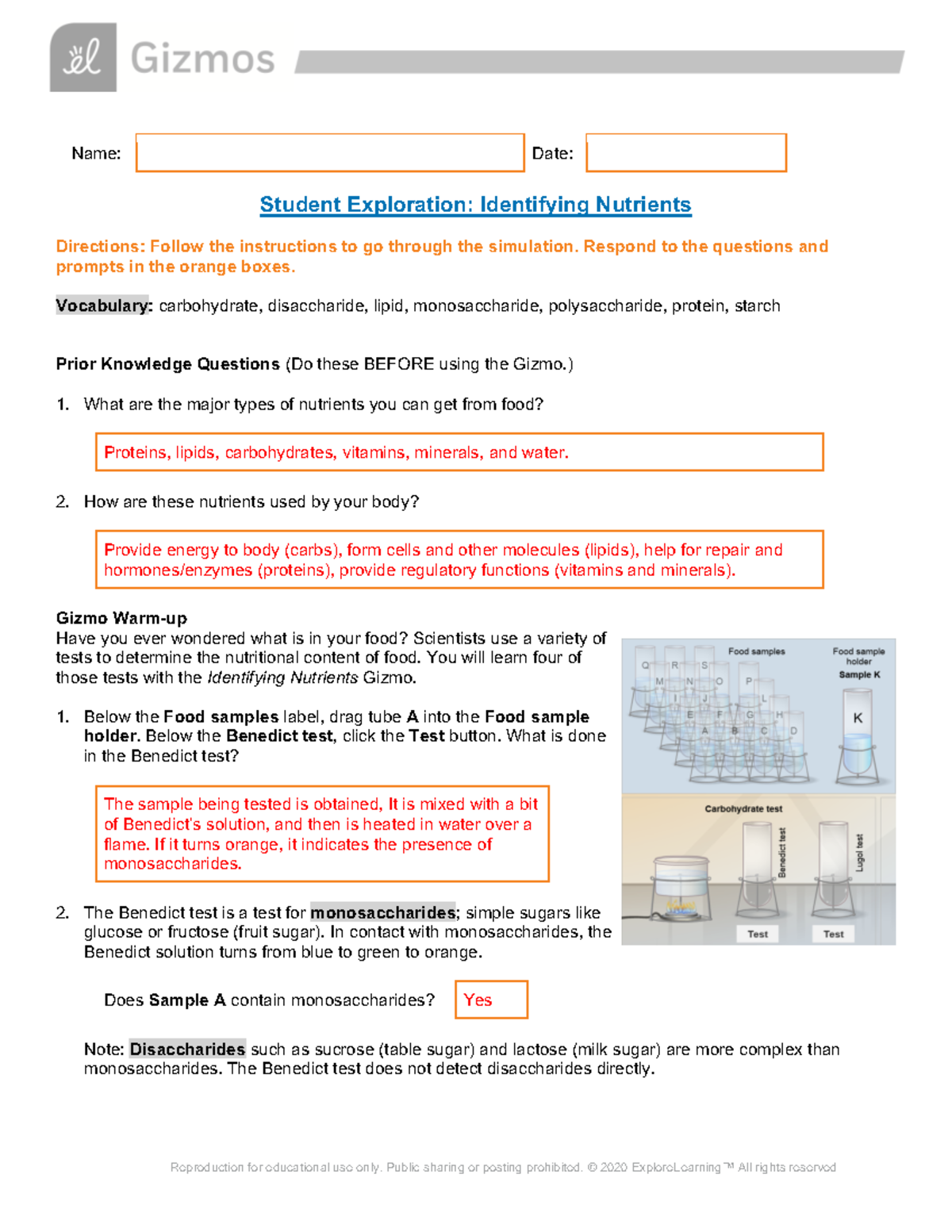 lab identifying nutrients assignment lab report