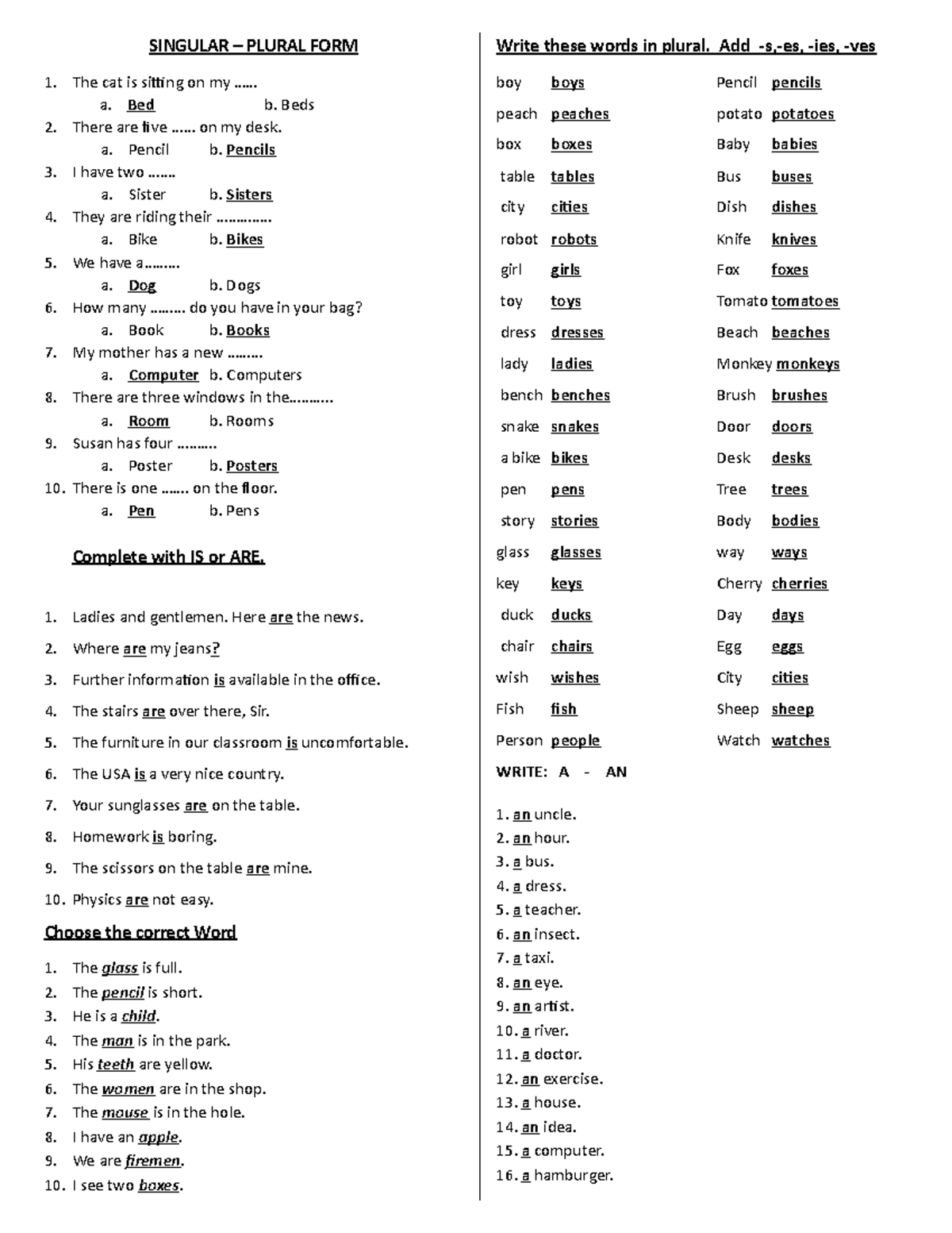 4TH Class Homework SINGULAR PLURAL FORM The cat is sitting on my