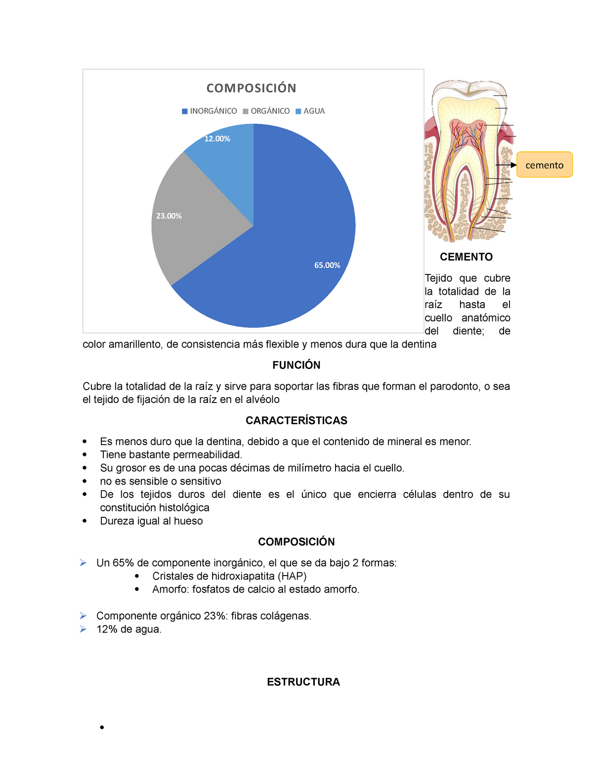 Histología del cemento dentario 