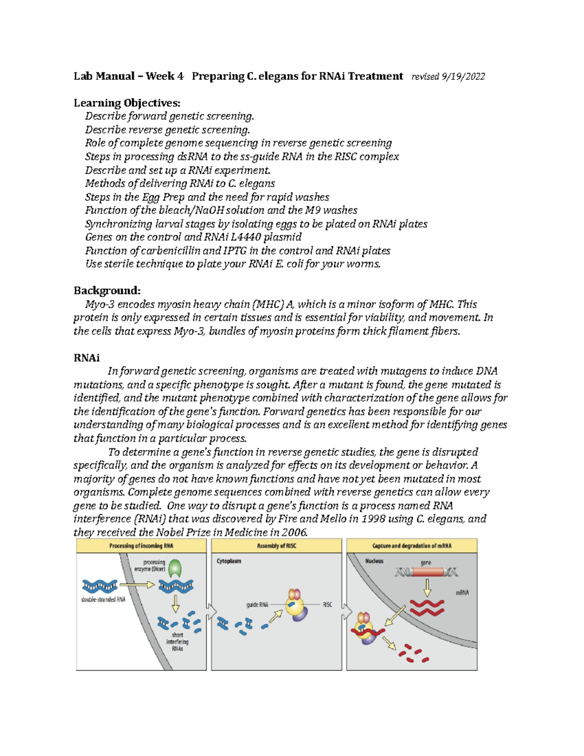 Week 4.RNAi.Egg - Oofed - Lab Manual – Week 4 Preparing C. elegans for ...