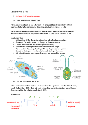 IBDP Biology Topic 6.2: The Blood System and Option D.4: The Heart ...