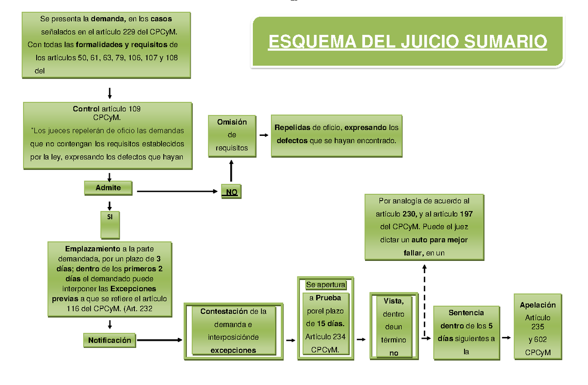 Esquema Juicio Sumario Se Apertura Contestación De La Demanda E