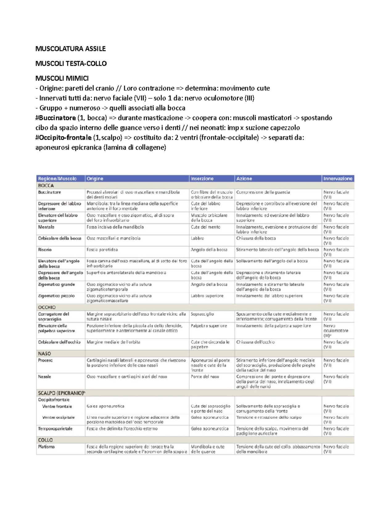 Muscolatura Assile - riassunto anatomia umana dal libro - MUSCOLATURA ...