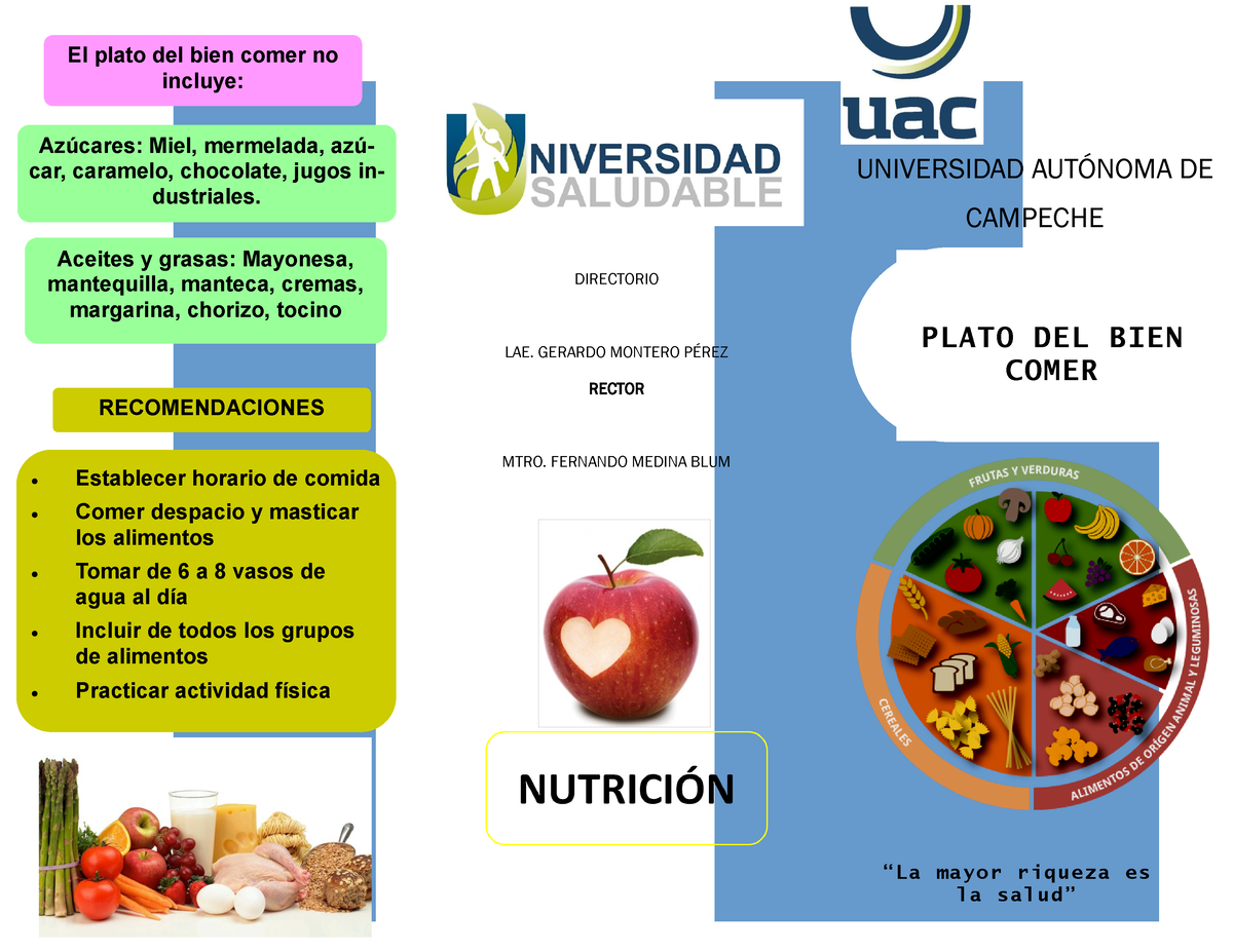 Triptico Plato Del Bien Comer Us Plato Del Bien Comer 3246