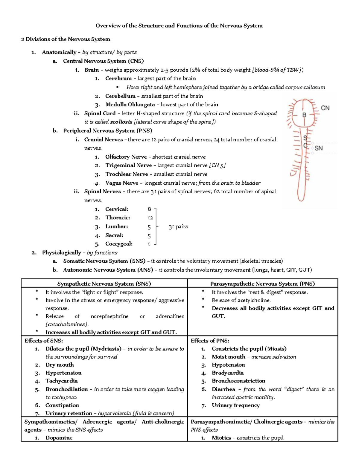 Overview of the Structure and Functions of the Nervous System MG MS GBS ...