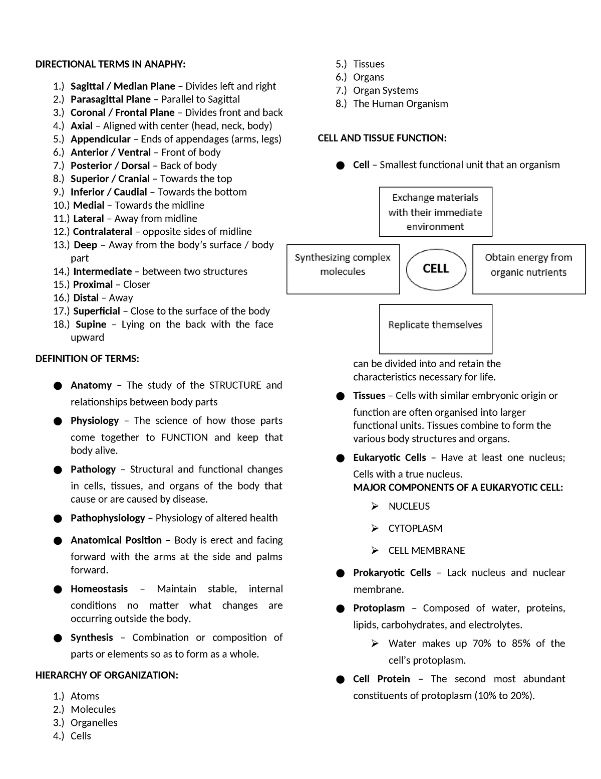 Anaphy - Cells - DIRECTIONAL TERMS IN ANAPHY: 1.) Sagittal / Median ...