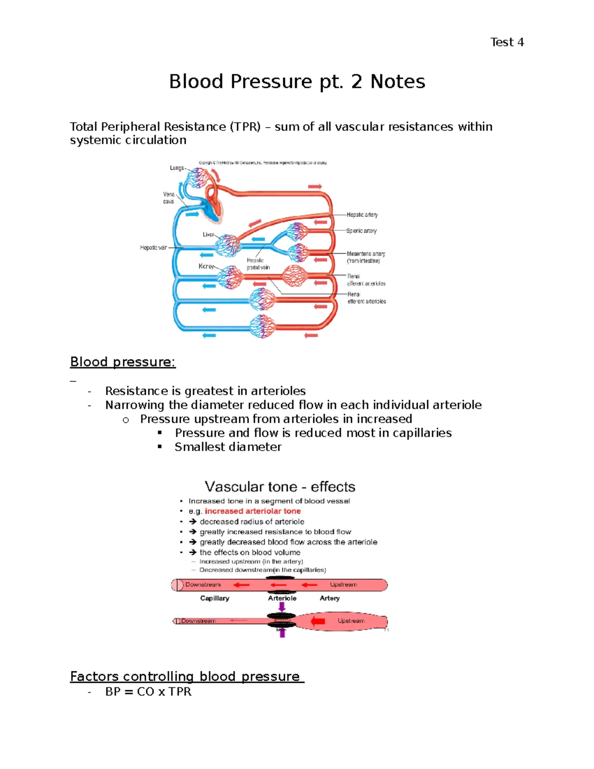 notes-blood-pressure-pt-2-blood-pressure-pt-2-notes-total
