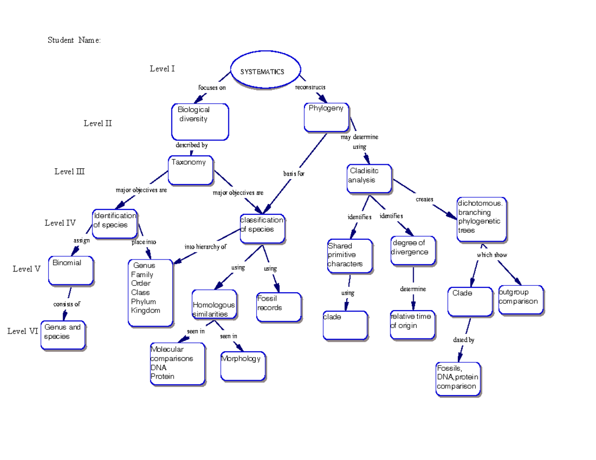 systematics-concept-map-focuses-on-reconstructs-described-by-major