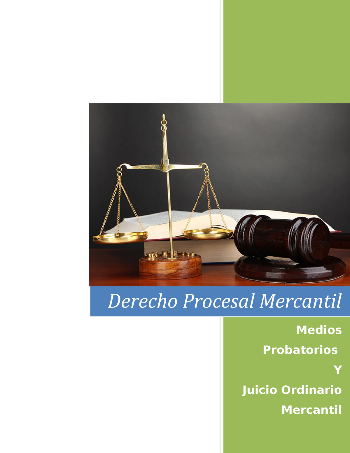 Derecho-Procesal-Mercantil - Medios Probatorios Y Juicio Ordinario ...