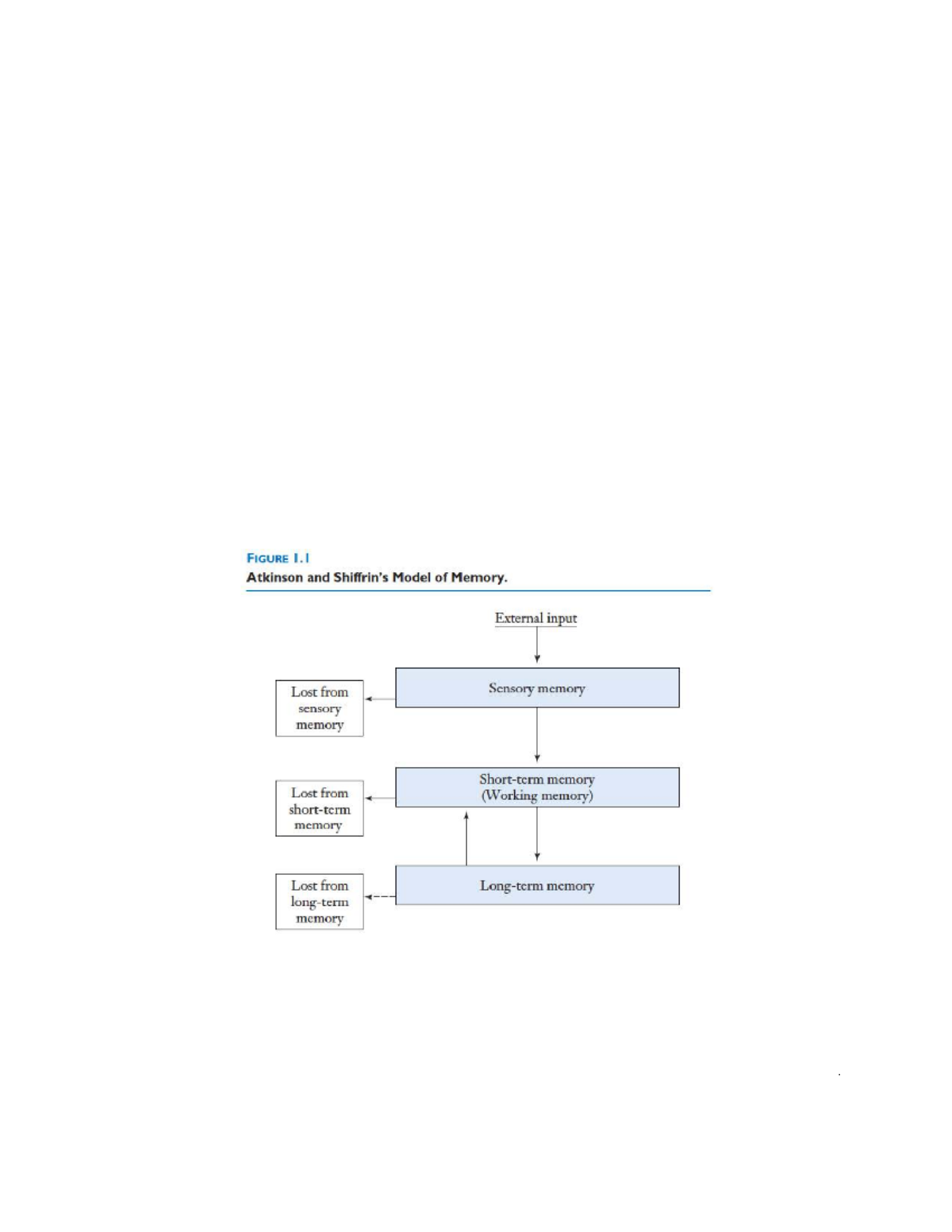 Psych 355 Chpter 1 - Memory - Memory Models And Memory Organization ...