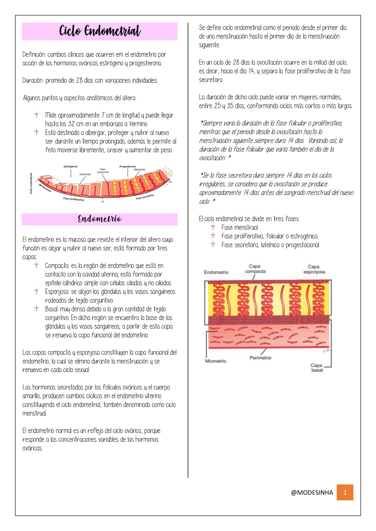 histología de la fase menstrual del útero