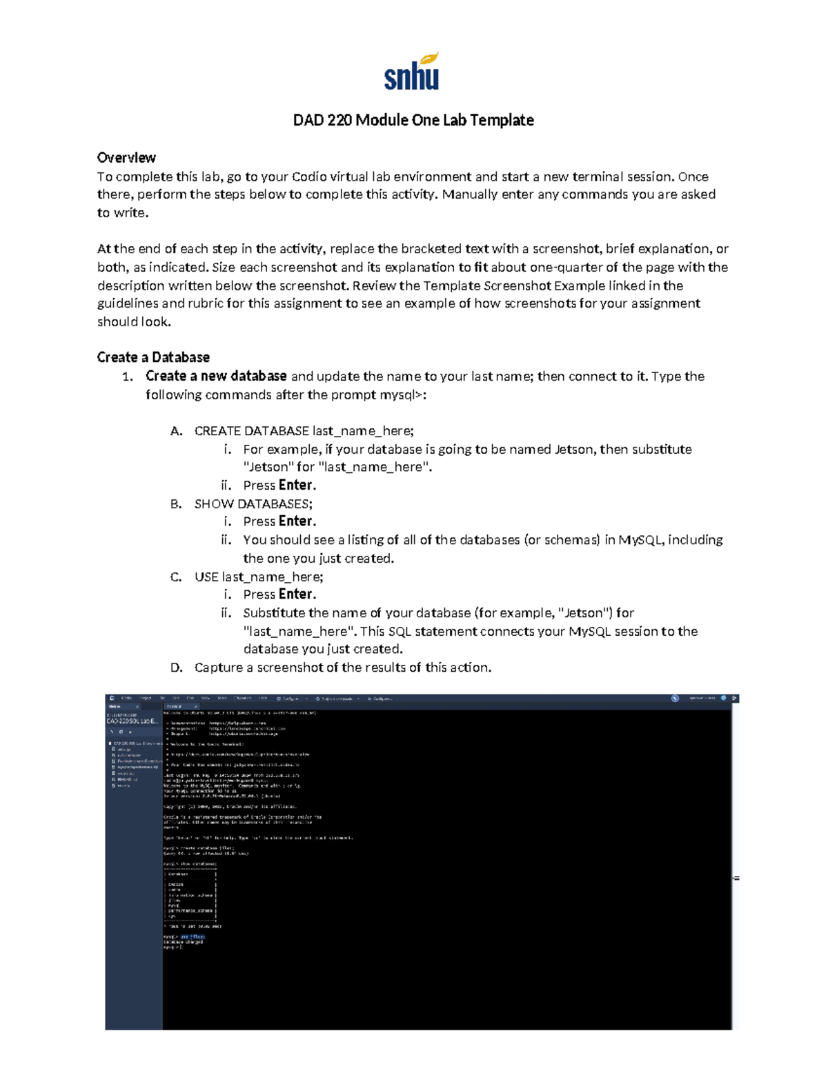Module 1 Assignment - DAD 220 Module One Lab Template Overview To ...