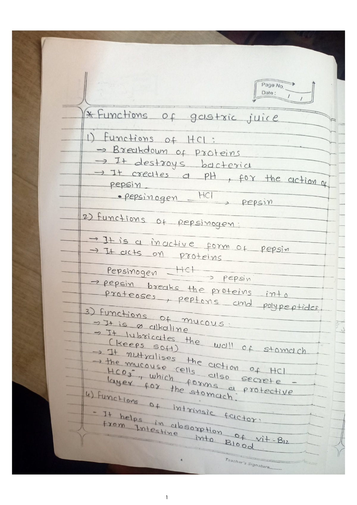 function-of-gastric-juice-homeopathic-studocu