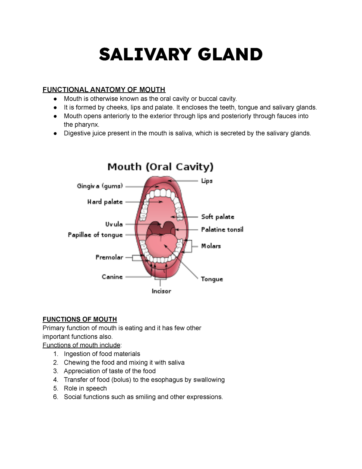 salivary-gland-salivary-gland-functional-anatomy-of-mouth-mouth-is