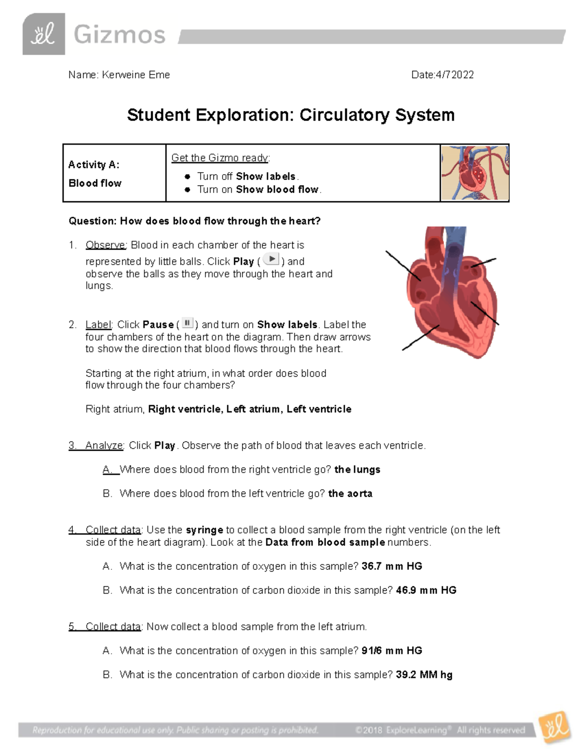 Circulatory System SE-1 - Name: Kerweine Eme Date:4/ Student ...