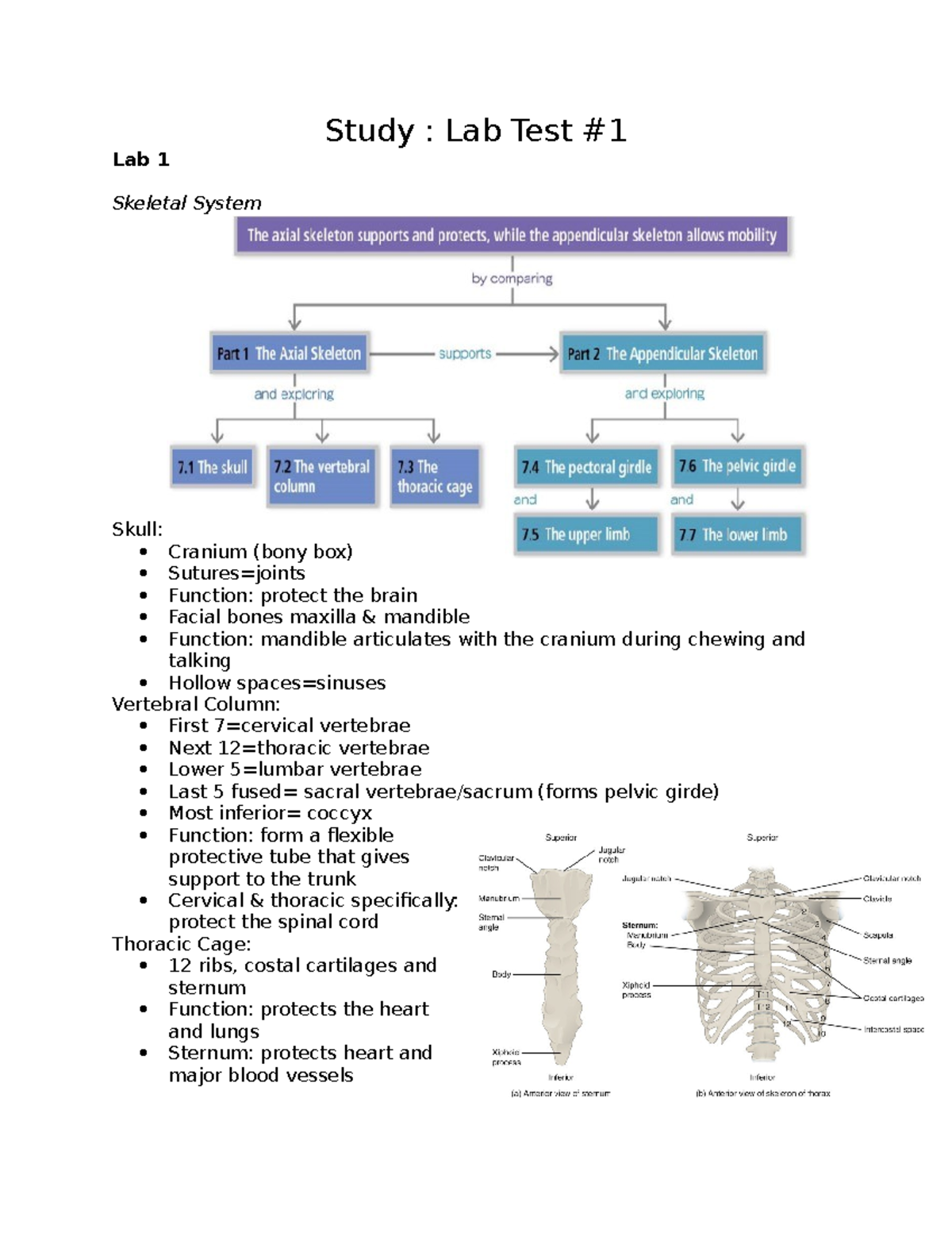 Study Lab Test #1 - Lab Test #1 Summary w/ pictures - Study : Lab Test ...