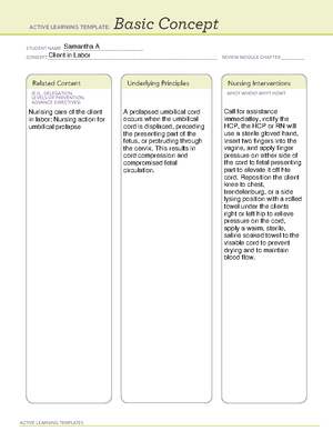 Rubella - .... - ACTIVE LEARNING TEMPLATES System Disorder STUDENT NAME ...