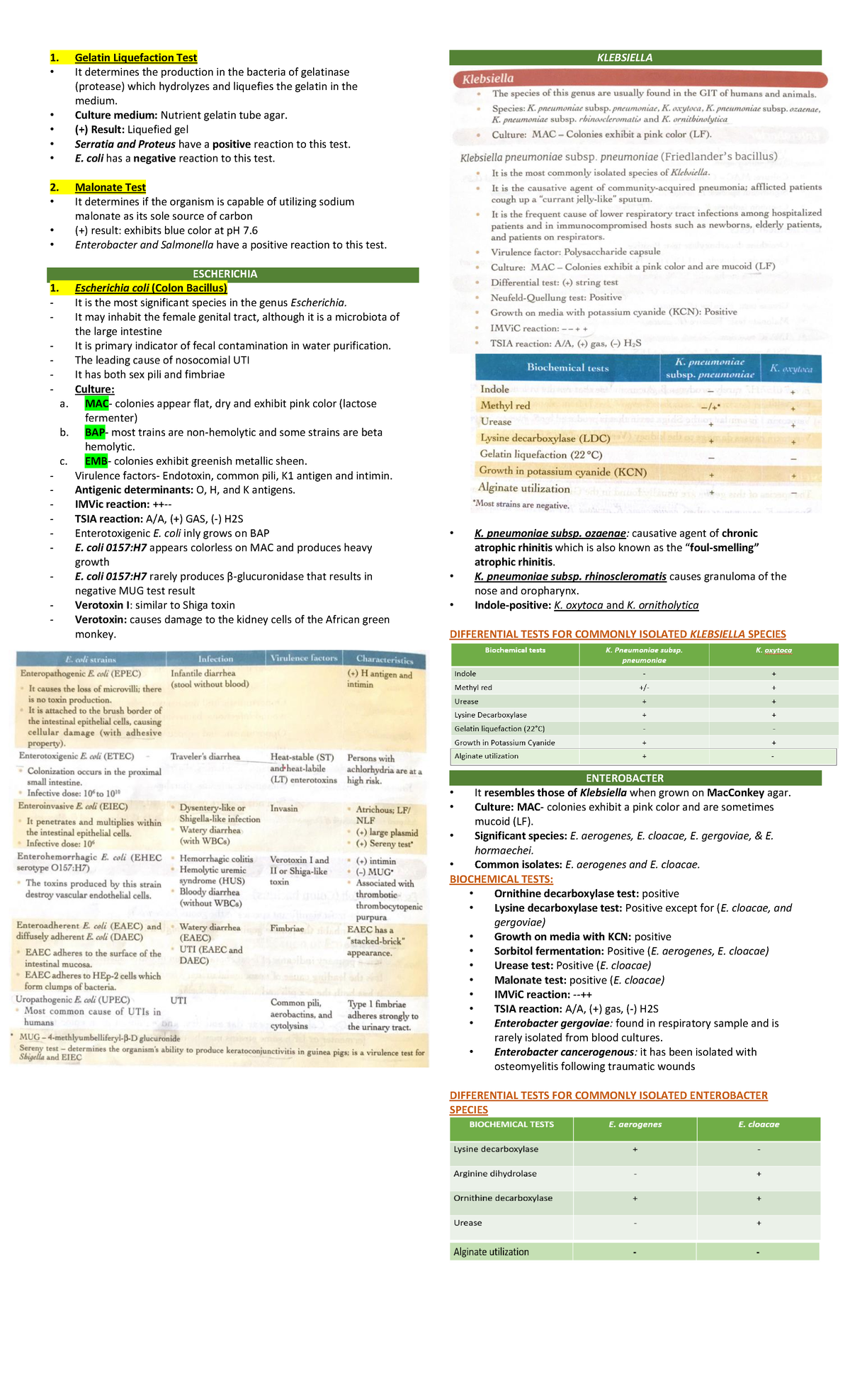 Gelatin Liquefaction Test Gelatin Liquefaction Test It determines the