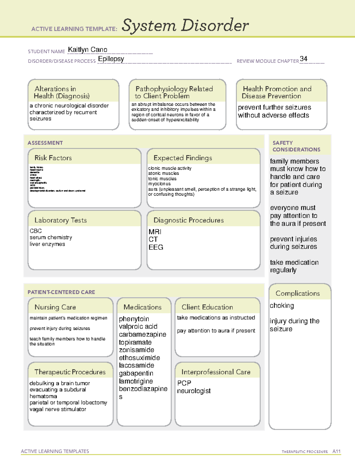 Epilepsy Template ACTIVE LEARNING TEMPLATES THERAPEUTIC PROCEDURE A 