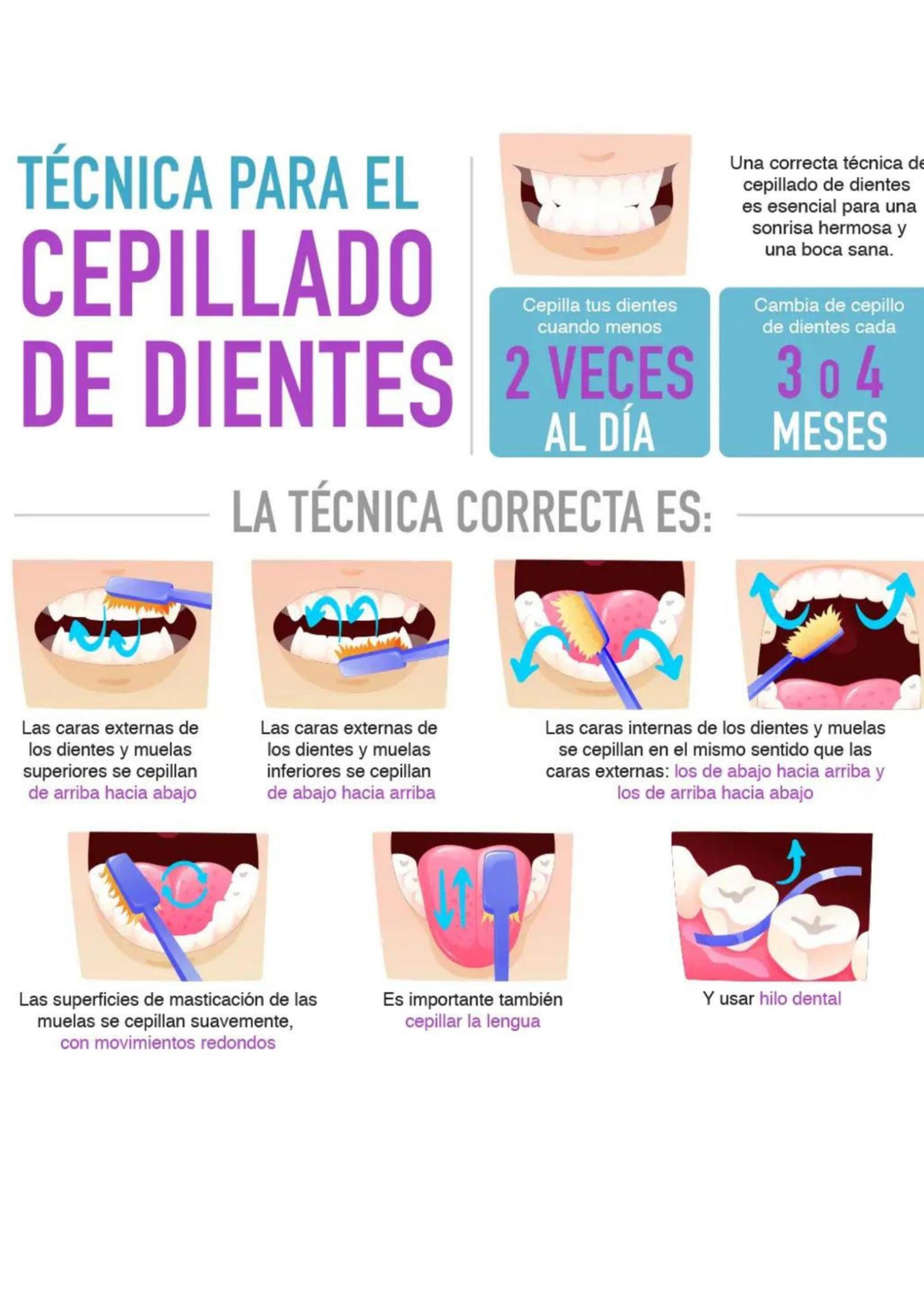 Salud Oral - Cartel Sobre Técnica De Cepillado Dental - Propedéutica ...