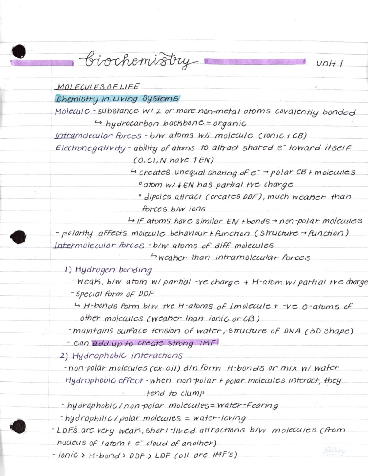 Grade 12 Biology Unit 1 Biochemistry Notes - Studocu