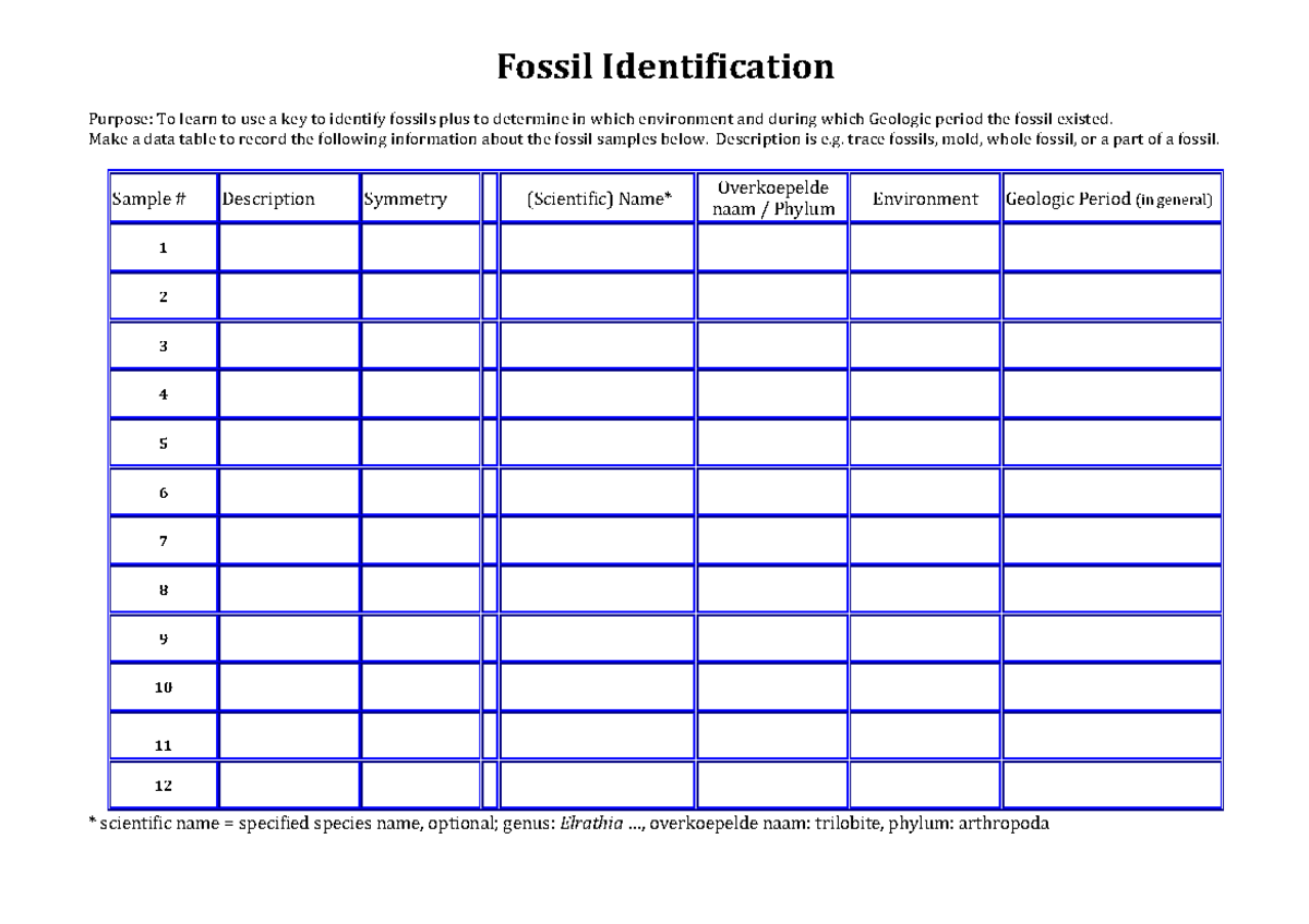 Fossil Identification Lab bak 2 Fossil Identification Purpose To