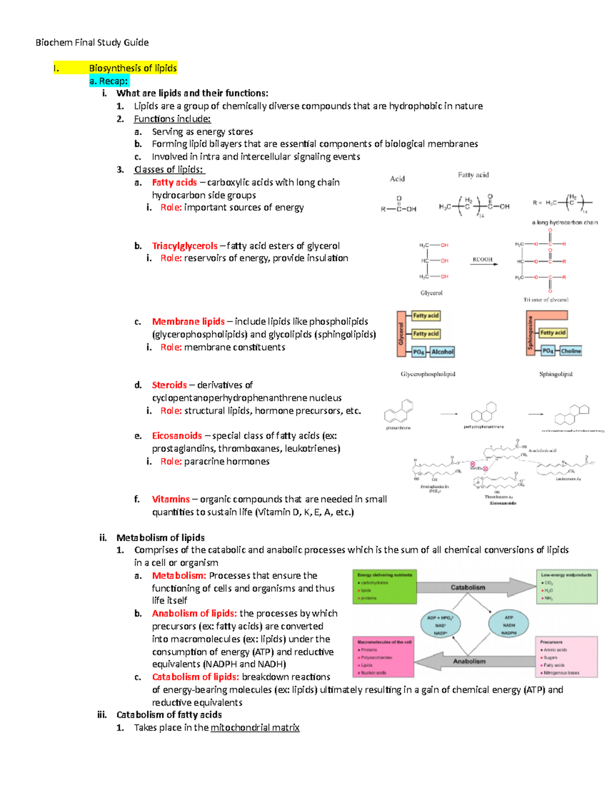 Biochem Final Study Guide - Biosynthesis Of Lipids A. Recap: I. What ...