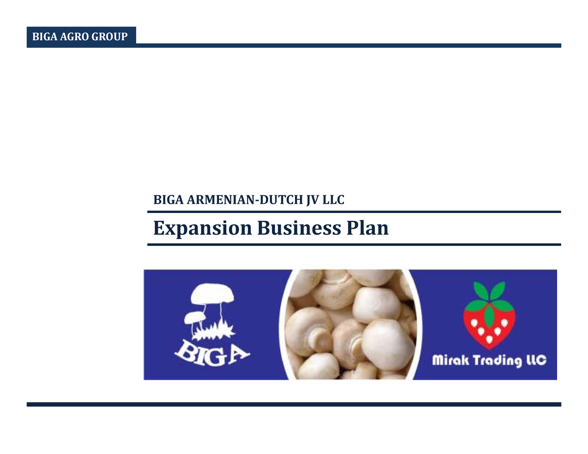 biga agro group greenhouse strawberry business plan pdf