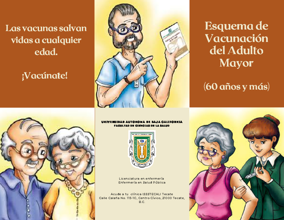Folleto Esquema de Vacunación del Adulto Mayor - Esquema de Vacunación